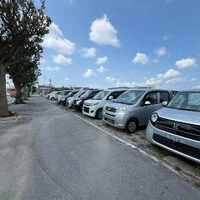 画像243