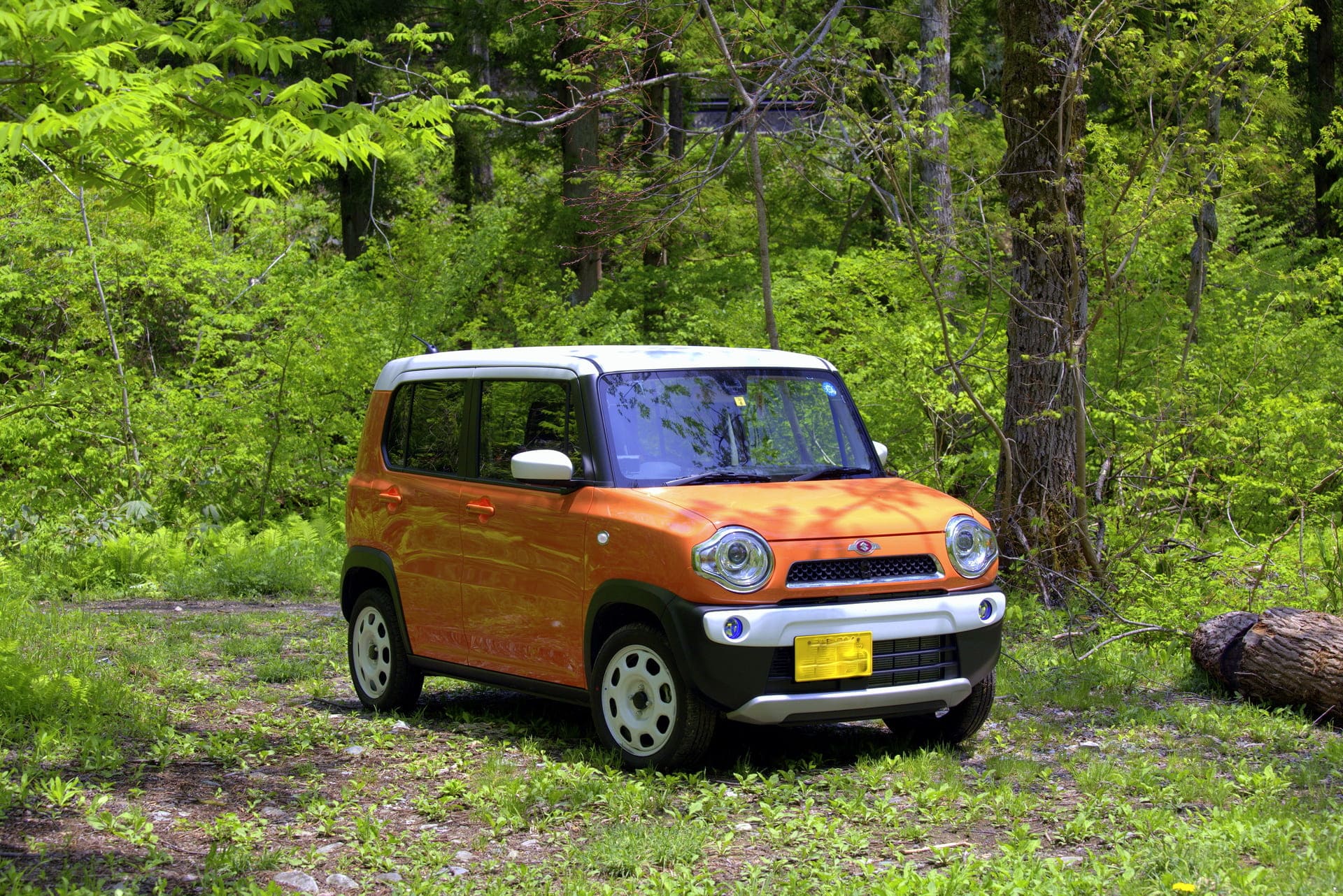 軽自動車も豊富 | 沖縄県糸満市の中古車ならCar-BooBoo                                        